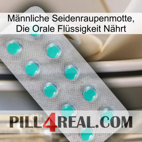 Männliche Seidenraupenmotte, Die Orale Flüssigkeit Nährt 28.jpg
